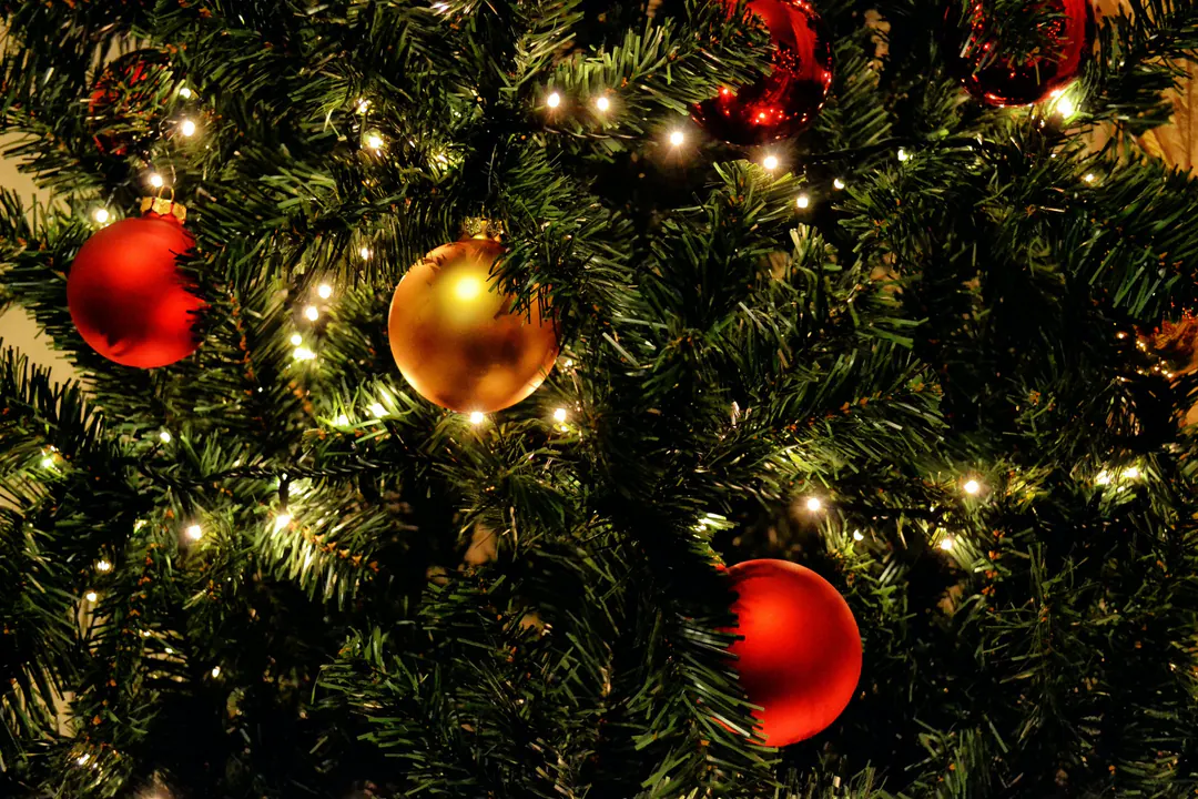 Beleuchteter Weihnachtsbaum für festliche Lichtstimmung